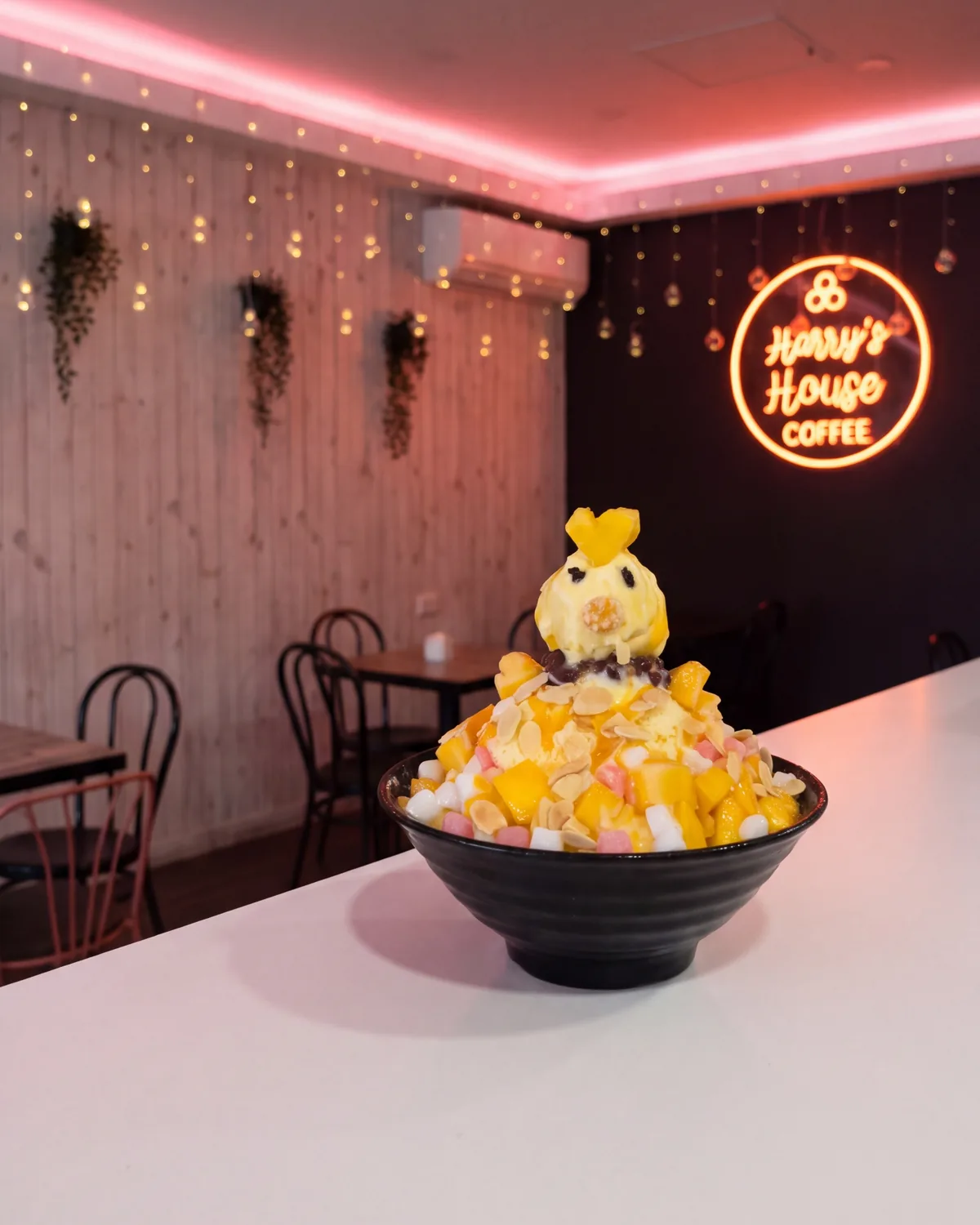 Our room at night: pink light along the ceiling, the white timber wall, the neon Harry's House Coffee sign and a mango bingsu on the counter